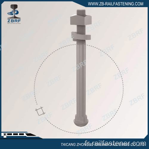 Boulon de col ovale à tête boutonnée pour une utilisation croisée